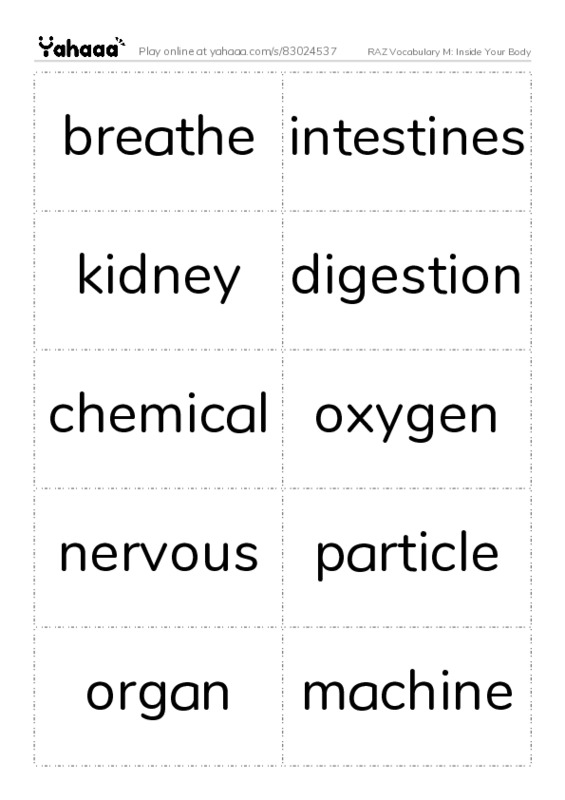 RAZ Vocabulary M: Inside Your Body PDF two columns flashcards