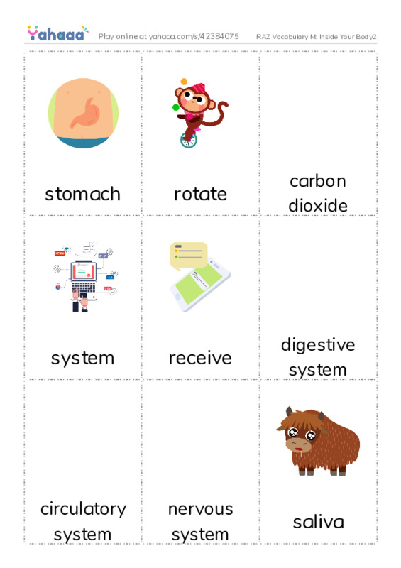 RAZ Vocabulary M: Inside Your Body2 PDF flaschards with images