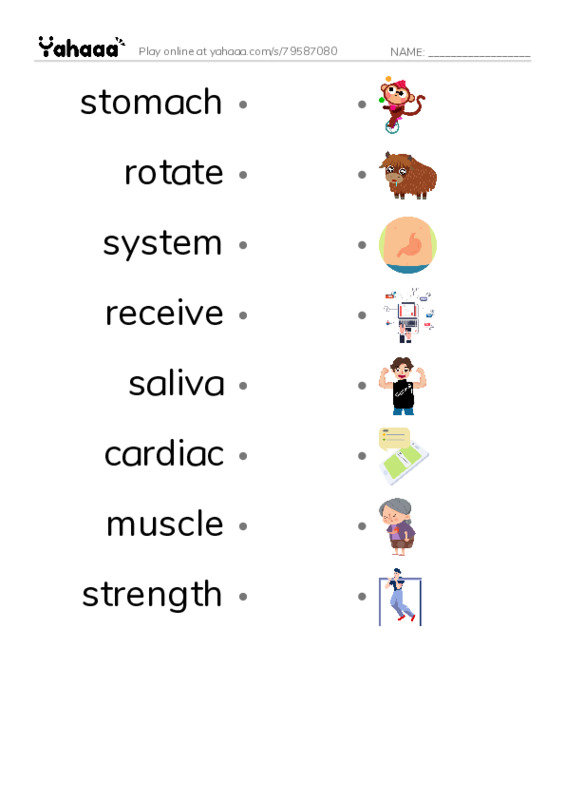 RAZ Vocabulary M: Inside Your Body2 PDF link match words worksheet