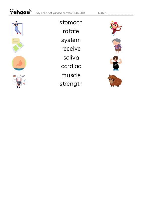 RAZ Vocabulary M: Inside Your Body2 PDF three columns match words