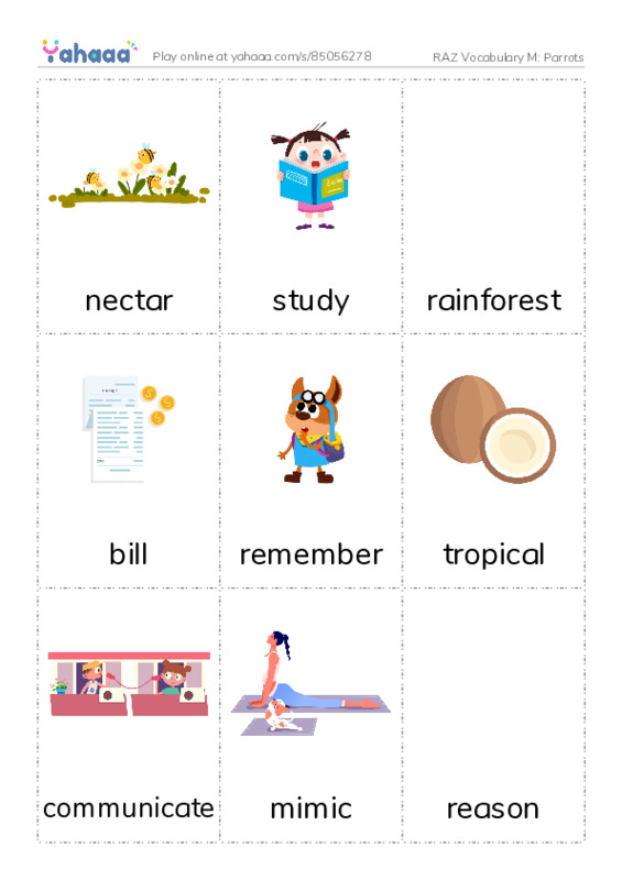 RAZ Vocabulary M: Parrots PDF flaschards with images