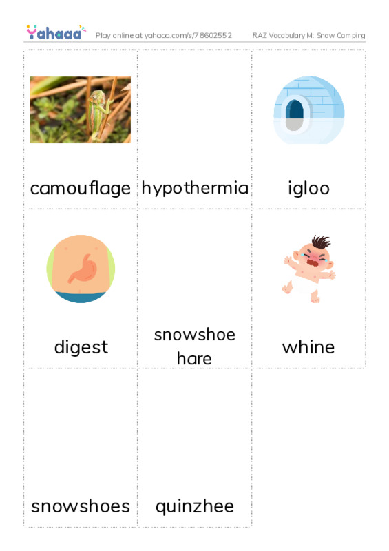 RAZ Vocabulary M: Snow Camping PDF flaschards with images
