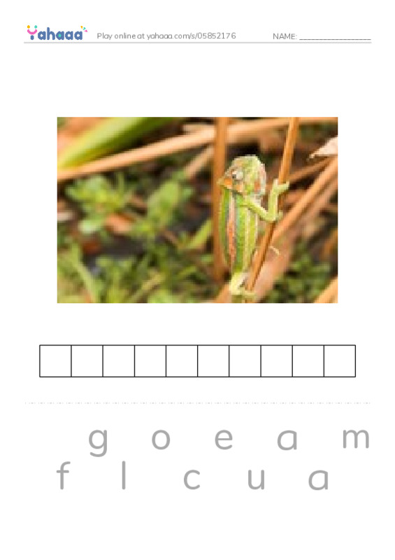 RAZ Vocabulary M: Snow Camping PDF word puzzles worksheet