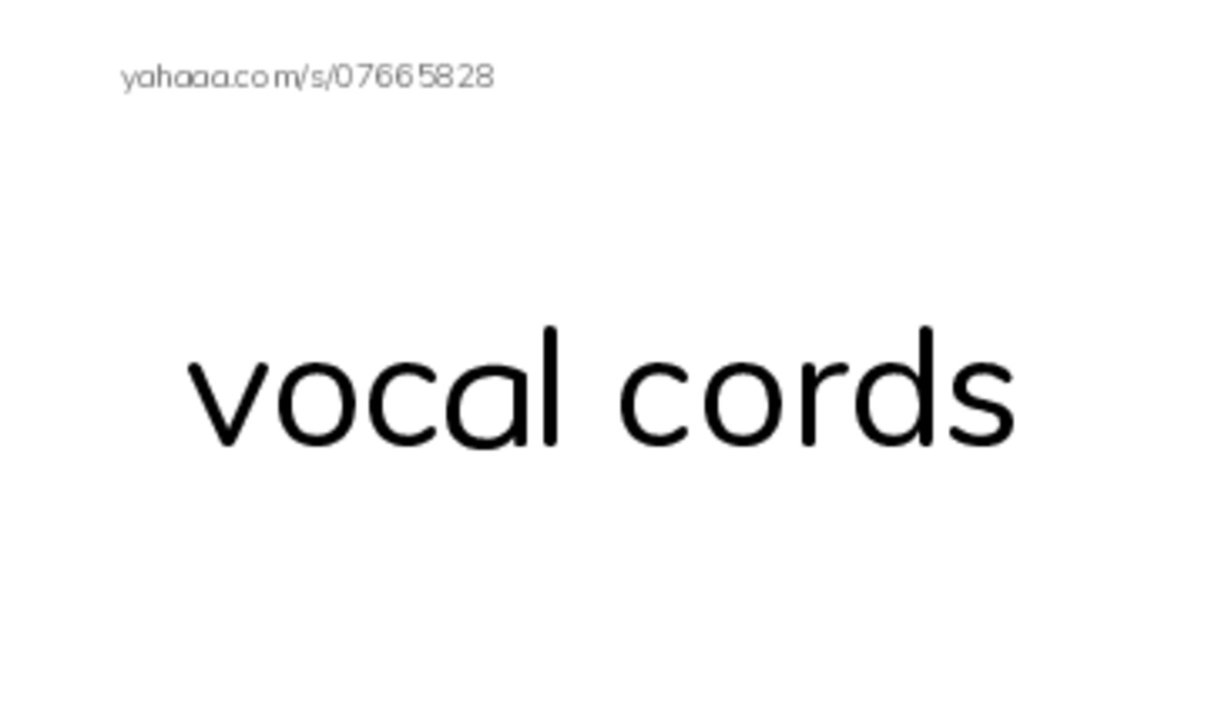 RAZ Vocabulary M: Sound All Around PDF index cards with images