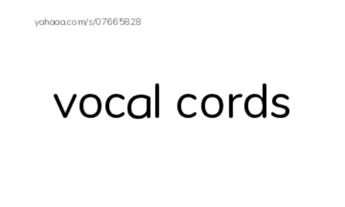 RAZ Vocabulary M: Sound All Around PDF index cards word only