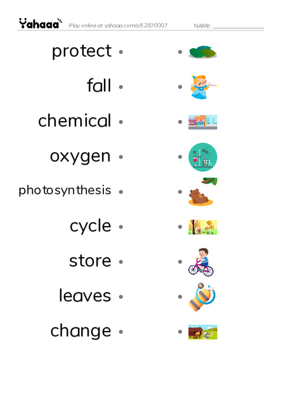 RAZ Vocabulary M: Why Do Leaves Change Color PDF link match words worksheet
