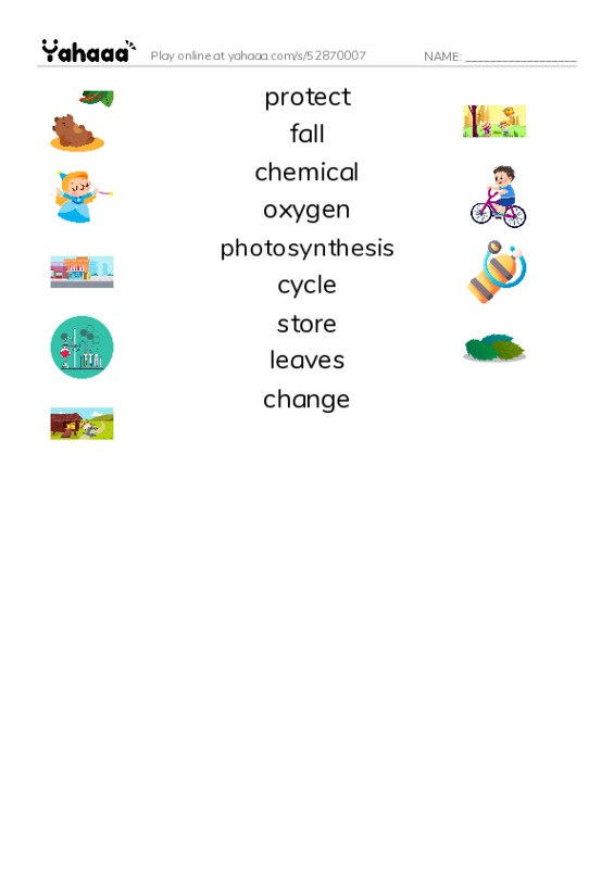 RAZ Vocabulary M: Why Do Leaves Change Color PDF three columns match words