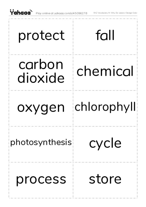 RAZ Vocabulary M: Why Do Leaves Change Color PDF two columns flashcards