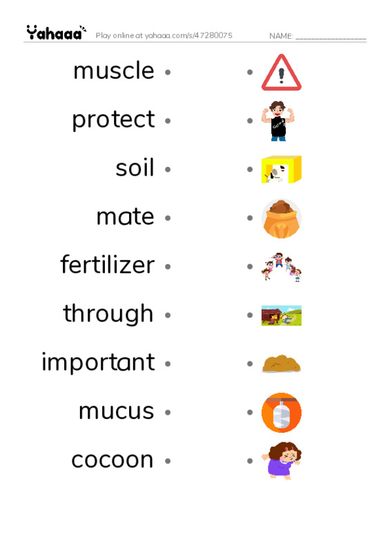 RAZ Vocabulary M: Wiggly Worms PDF link match words worksheet