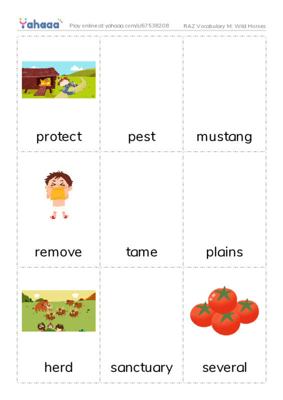 RAZ Vocabulary M: Wild Horses PDF flaschards with images