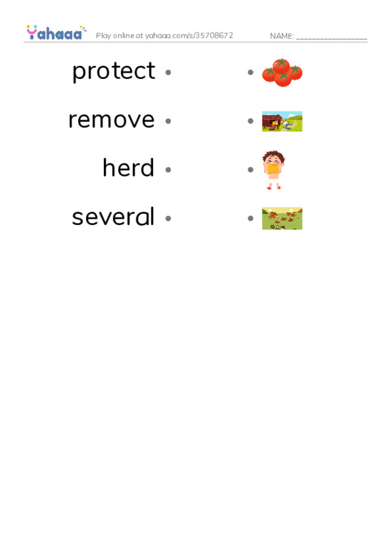 RAZ Vocabulary M: Wild Horses PDF link match words worksheet