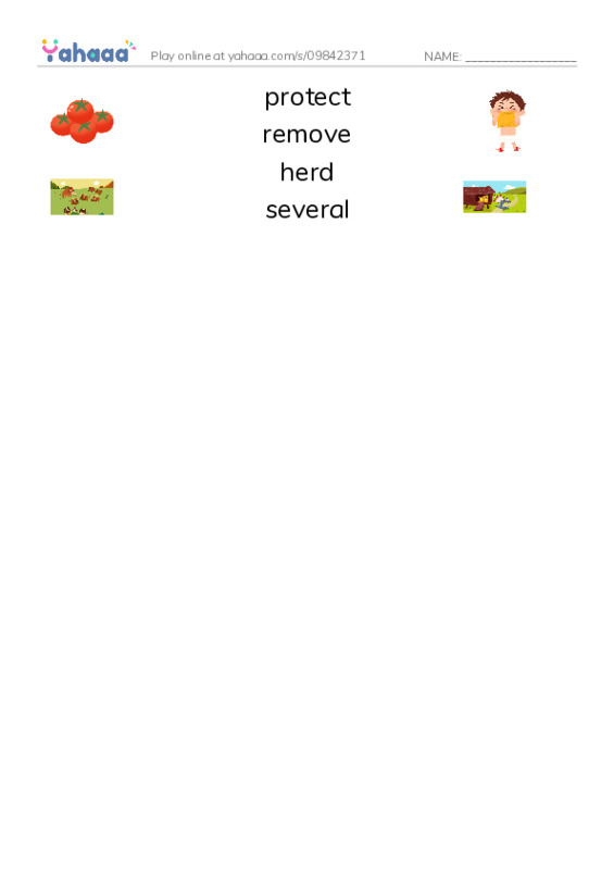 RAZ Vocabulary M: Wild Horses PDF three columns match words