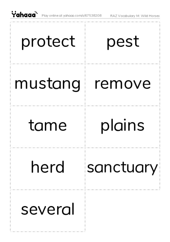 RAZ Vocabulary M: Wild Horses PDF two columns flashcards