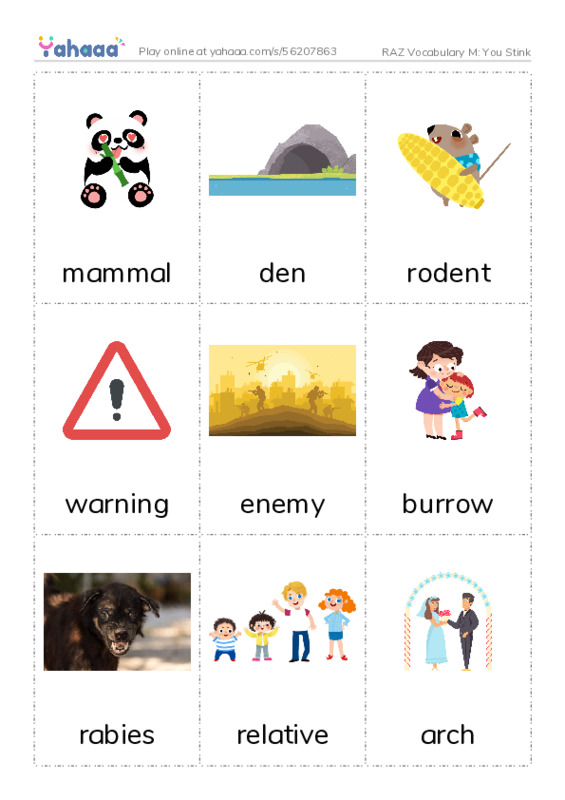 RAZ Vocabulary M: You Stink PDF flaschards with images