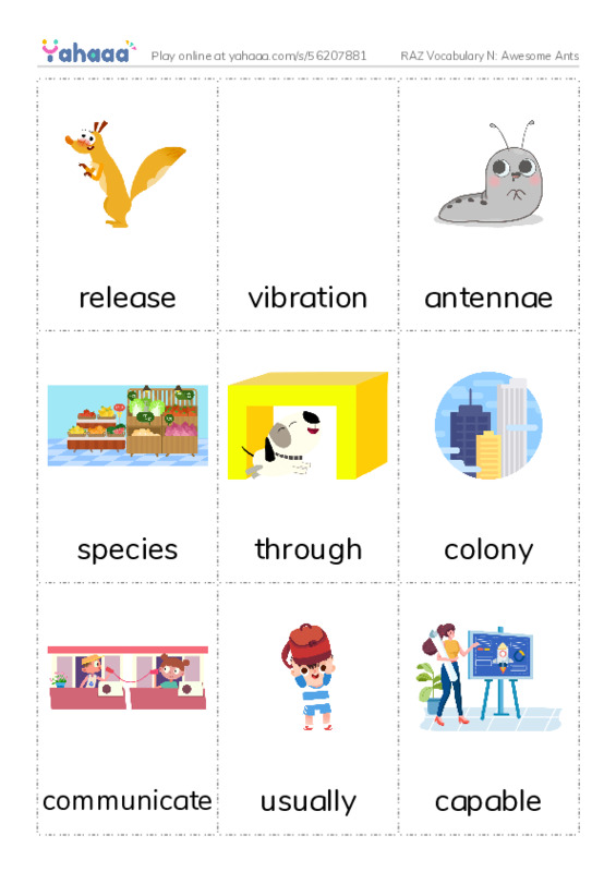 RAZ Vocabulary N: Awesome Ants PDF flaschards with images