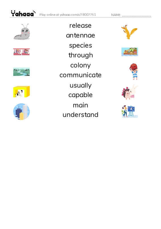 RAZ Vocabulary N: Awesome Ants PDF three columns match words