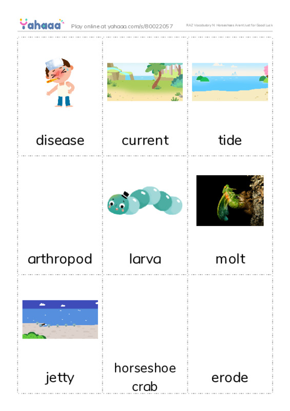 RAZ Vocabulary N: Horseshoes Arent Just for Good Luck PDF flaschards with images