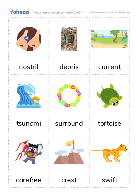 RAZ Vocabulary N: Owen and the Tortoise PDF flaschards with images