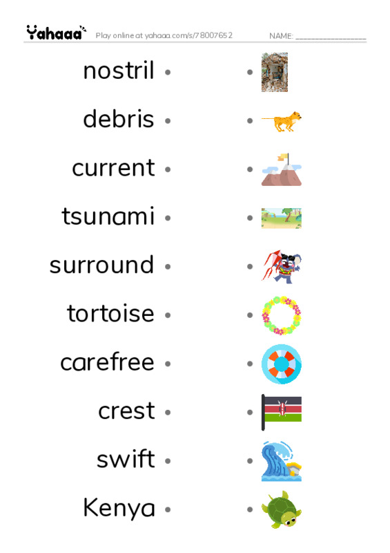 RAZ Vocabulary N: Owen and the Tortoise PDF link match words worksheet