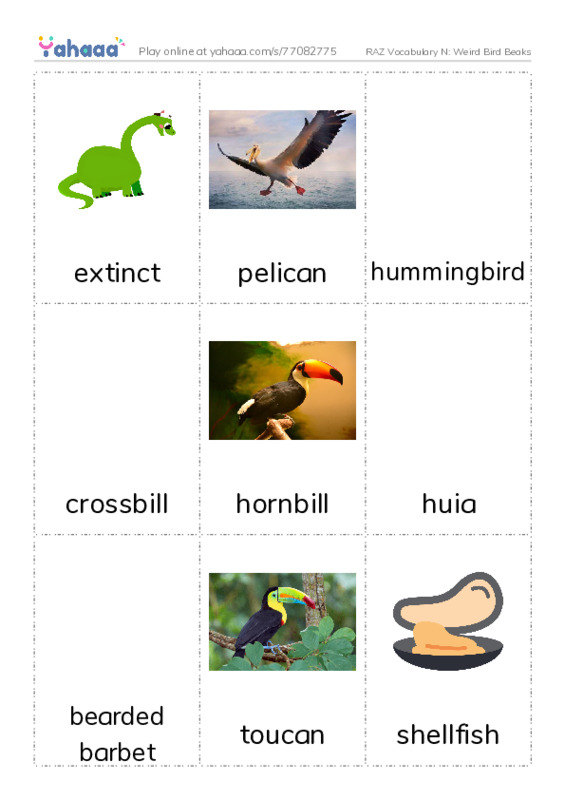 RAZ Vocabulary N: Weird Bird Beaks PDF flaschards with images