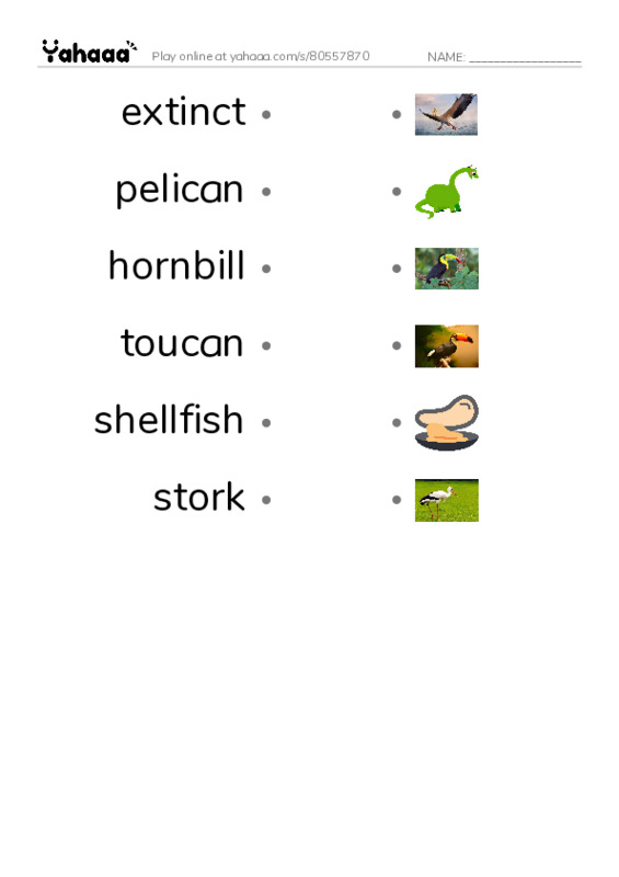 RAZ Vocabulary N: Weird Bird Beaks PDF link match words worksheet