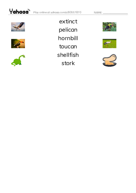 RAZ Vocabulary N: Weird Bird Beaks PDF three columns match words