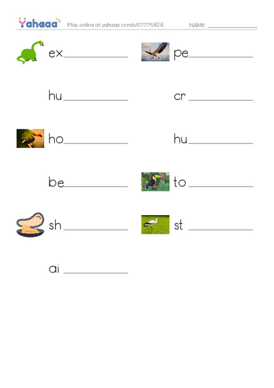 RAZ Vocabulary N: Weird Bird Beaks PDF worksheet writing row