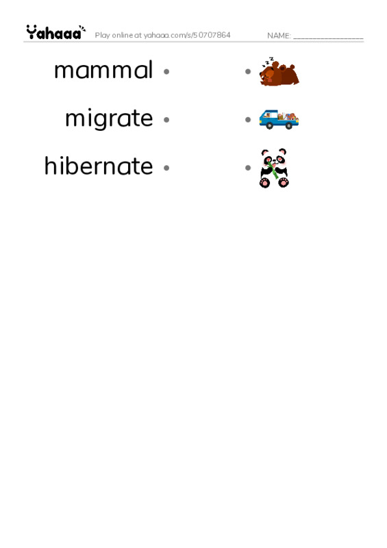 RAZ Vocabulary O: Bats PDF link match words worksheet