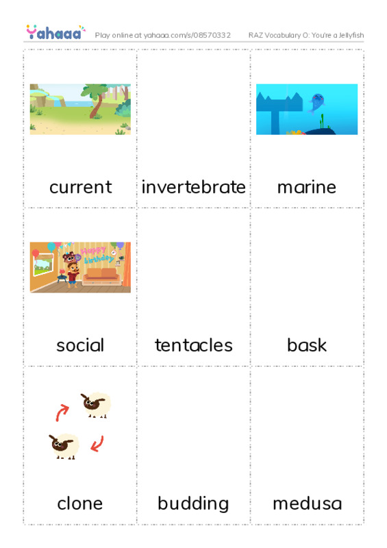 RAZ Vocabulary O: You're a Jellyfish PDF flaschards with images