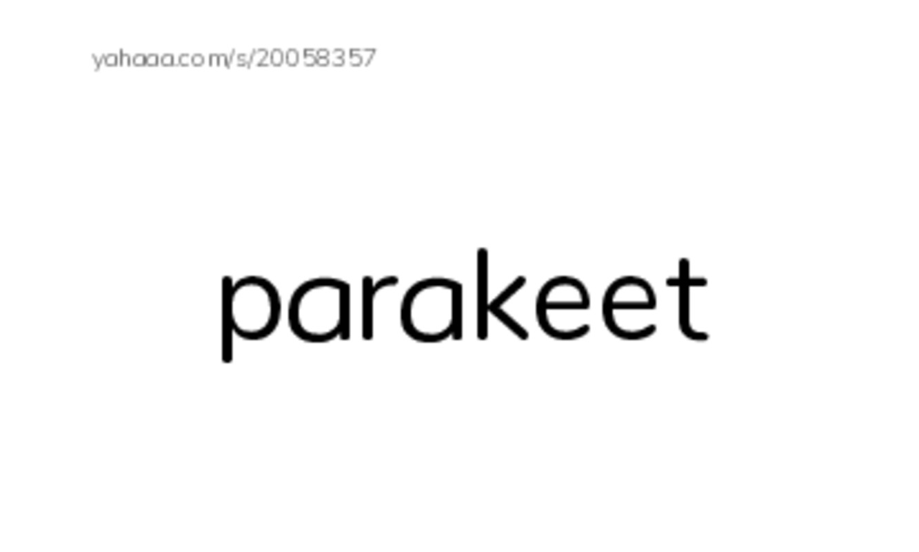 RAZ Vocabulary O: A Late Night Chat With a Parakeet PDF index cards with images