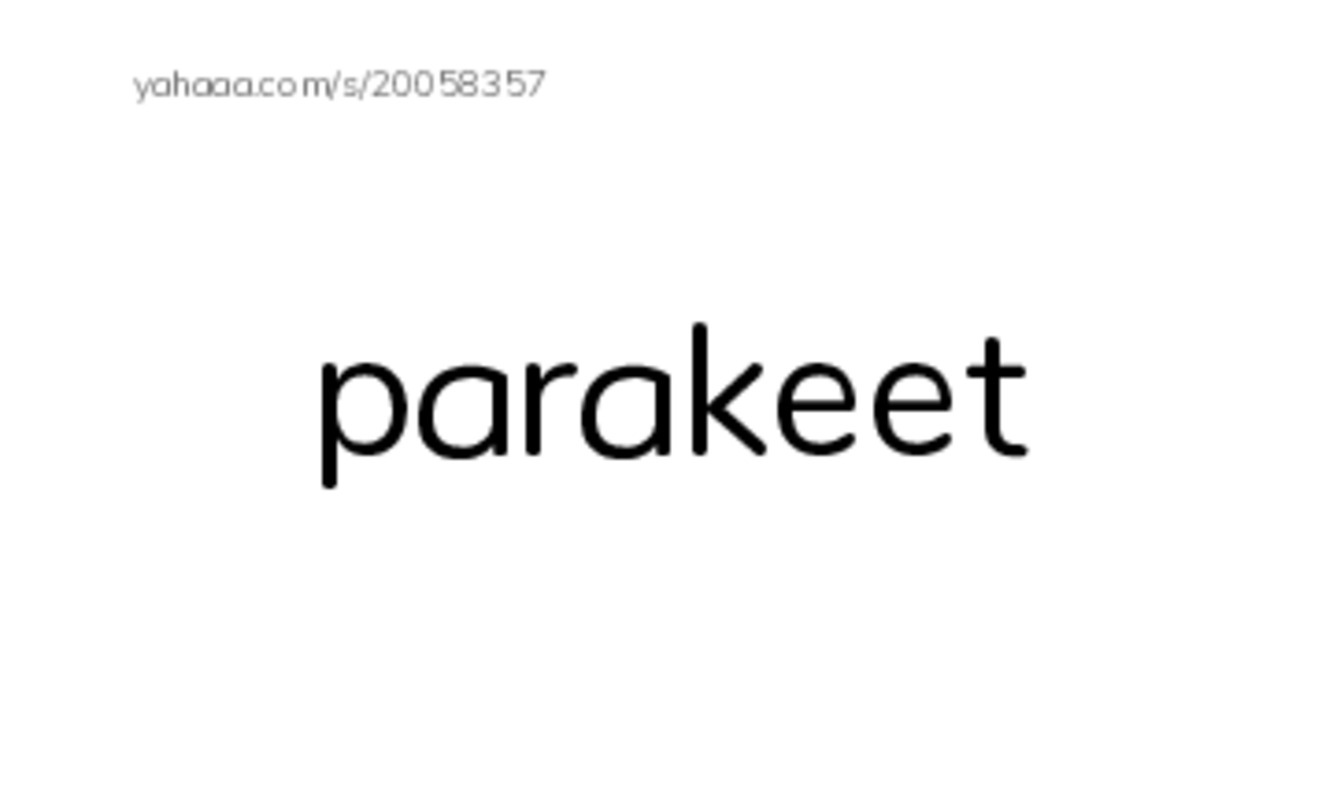 RAZ Vocabulary O: A Late Night Chat With a Parakeet PDF index cards word only