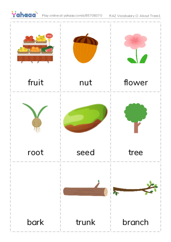 RAZ Vocabulary O: About Trees1 PDF flaschards with images