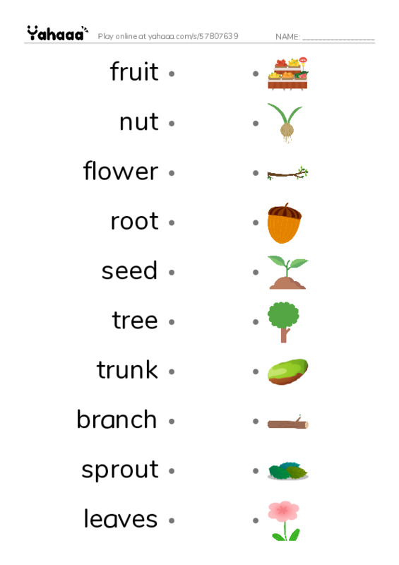 RAZ Vocabulary O: About Trees1 PDF link match words worksheet