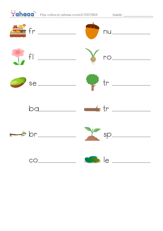RAZ Vocabulary O: About Trees1 PDF worksheet writing row
