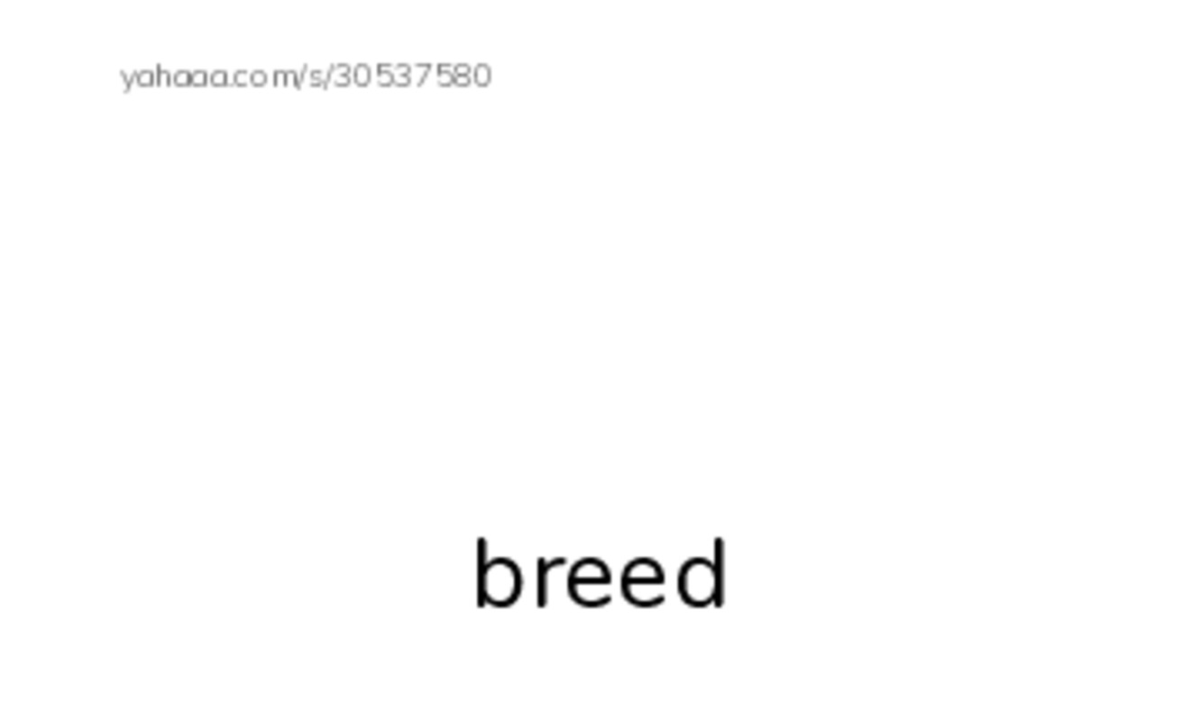RAZ Vocabulary O: Breeds of Dogs PDF index cards with images