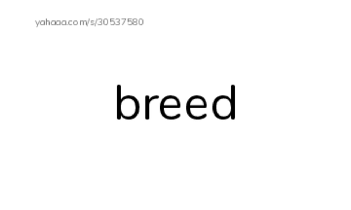 RAZ Vocabulary O: Breeds of Dogs PDF index cards word only