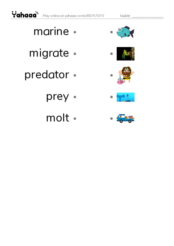 RAZ Vocabulary O: Seals Sea Lions and Walruses PDF link match words worksheet