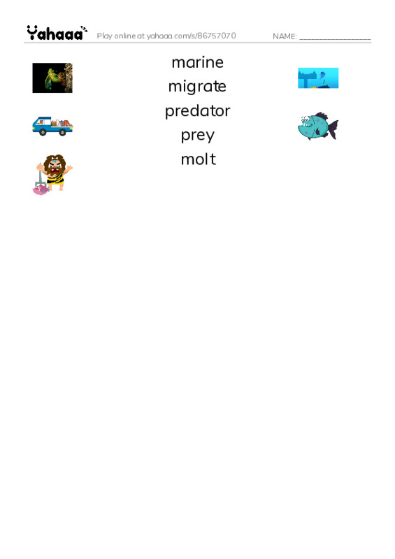 RAZ Vocabulary O: Seals Sea Lions and Walruses PDF three columns match words