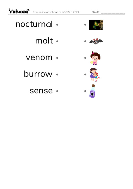 RAZ Vocabulary Q: Goliath BirdEating Spiders Giant Arachnids PDF link match words worksheet