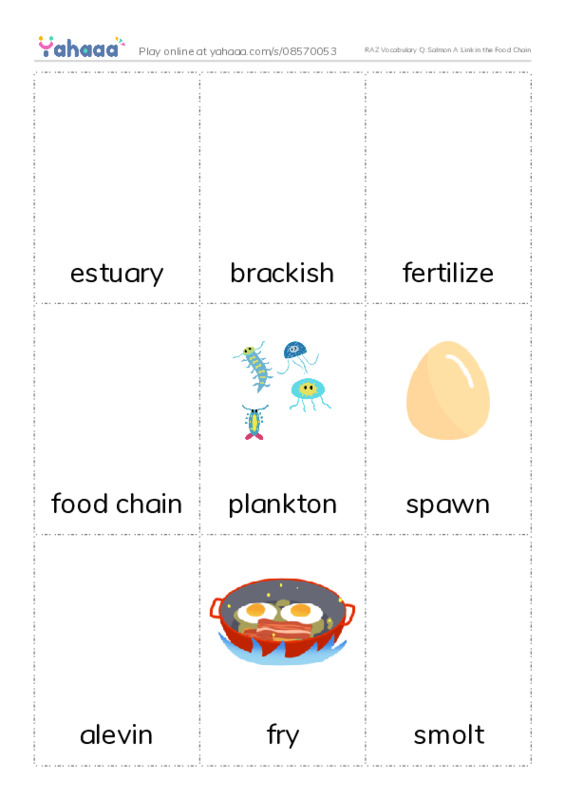 RAZ Vocabulary Q: Salmon A Link in the Food Chain PDF flaschards with images