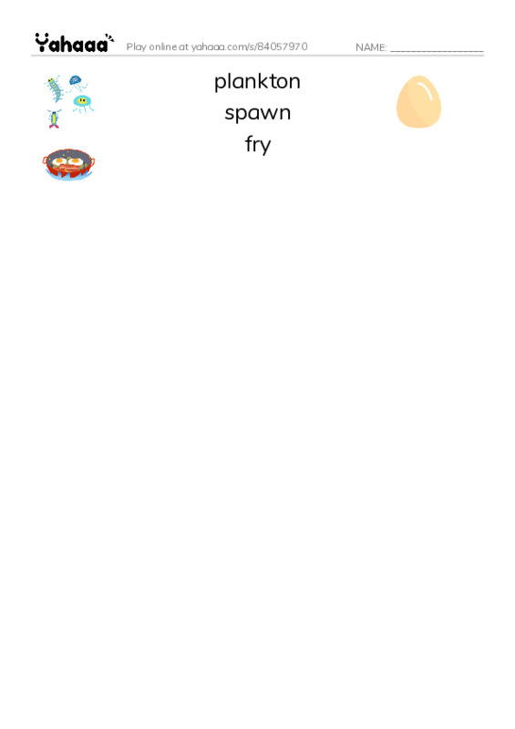 RAZ Vocabulary Q: Salmon A Link in the Food Chain PDF three columns match words