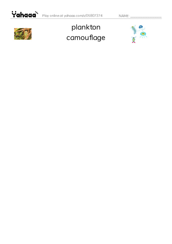 RAZ Vocabulary Q: Sharks PDF three columns match words