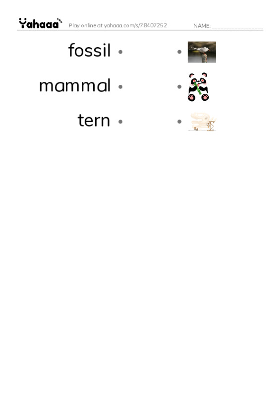 RAZ Vocabulary R: Charlenes Sea of Cortez Journal PDF link match words worksheet