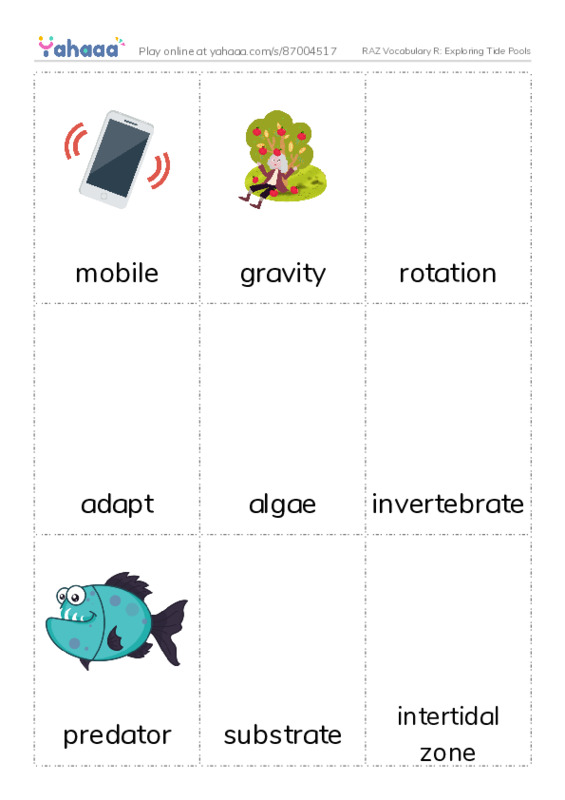 RAZ Vocabulary R: Exploring Tide Pools PDF flaschards with images