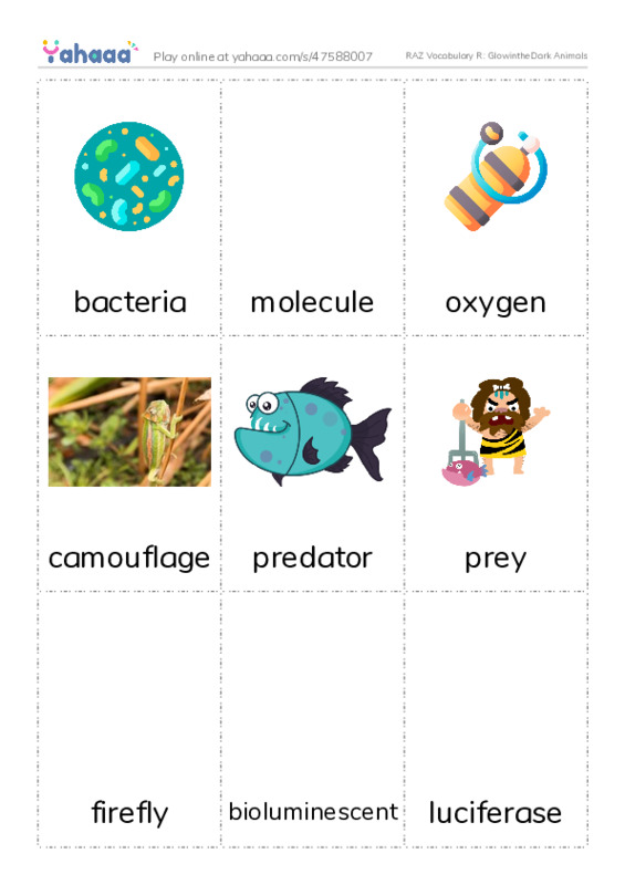 RAZ Vocabulary R: GlowintheDark Animals PDF flaschards with images