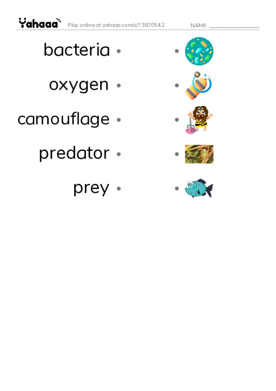 RAZ Vocabulary R: GlowintheDark Animals PDF link match words worksheet