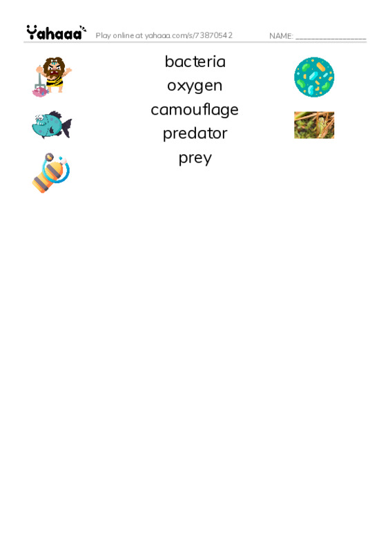 RAZ Vocabulary R: GlowintheDark Animals PDF three columns match words