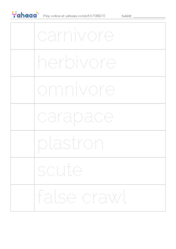 RAZ Vocabulary R: Sea Turtles PDF one column image words