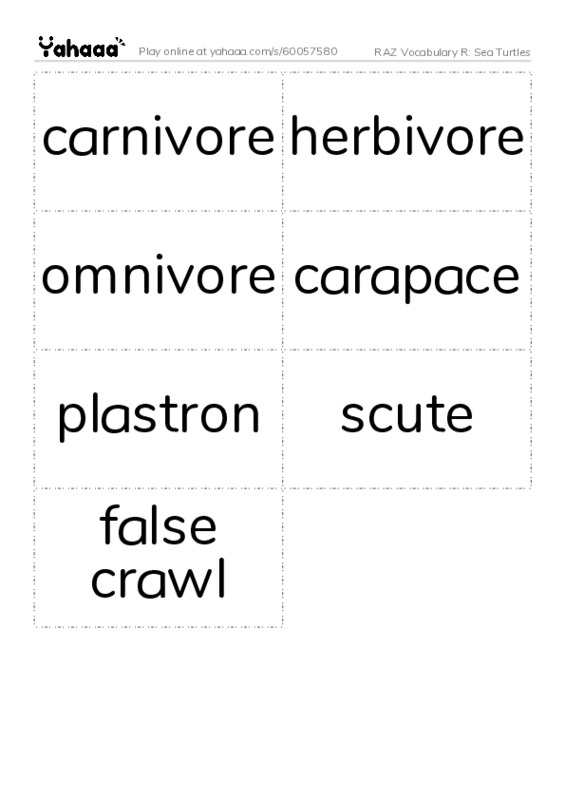 RAZ Vocabulary R: Sea Turtles PDF two columns flashcards