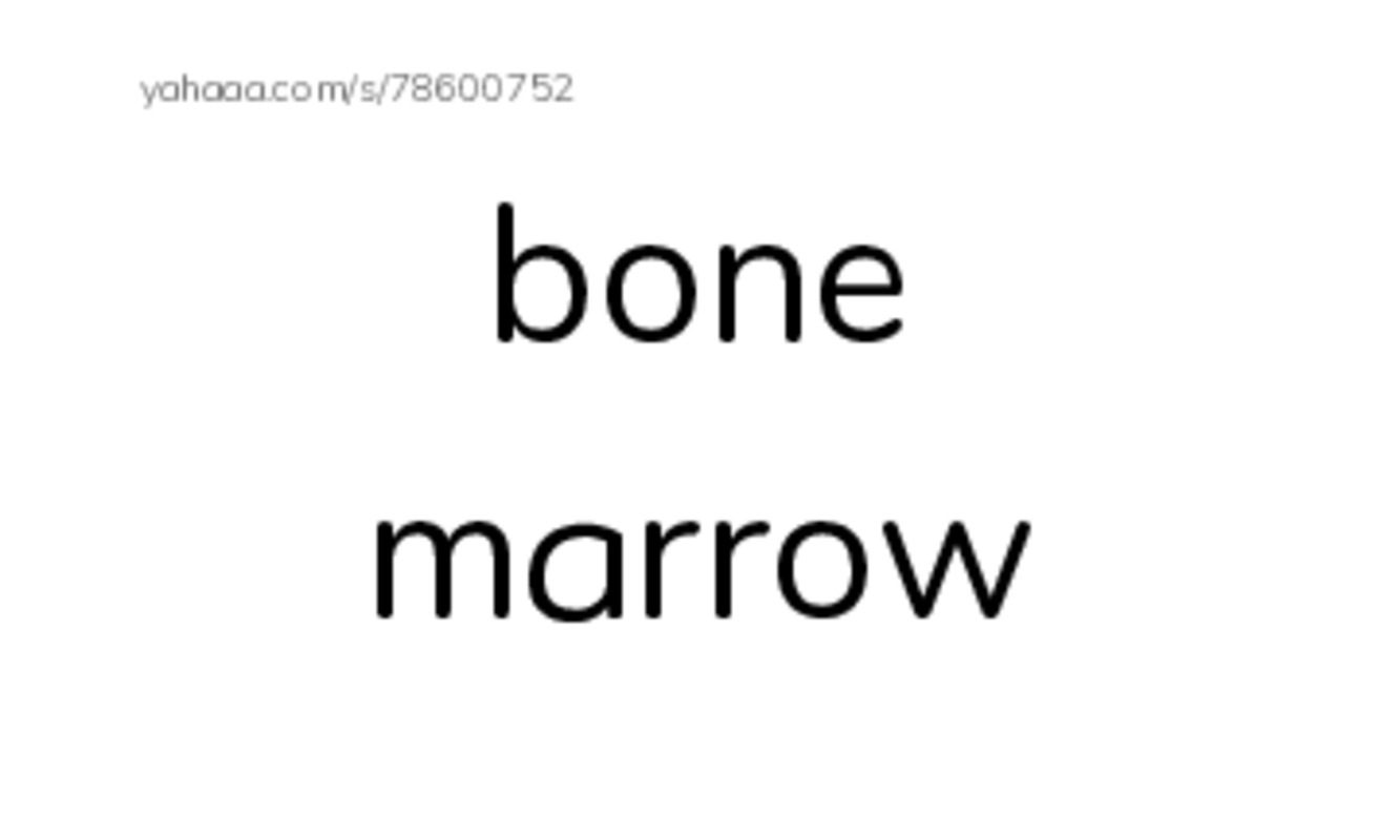 RAZ Vocabulary R: The Hard Stuff All About Bones PDF index cards word only